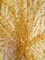 1 Yard Gold 3D Butterfly Stretch Mesh Fabric with Satin Appliqué for Fashion and Crafts 54 Inch Wide